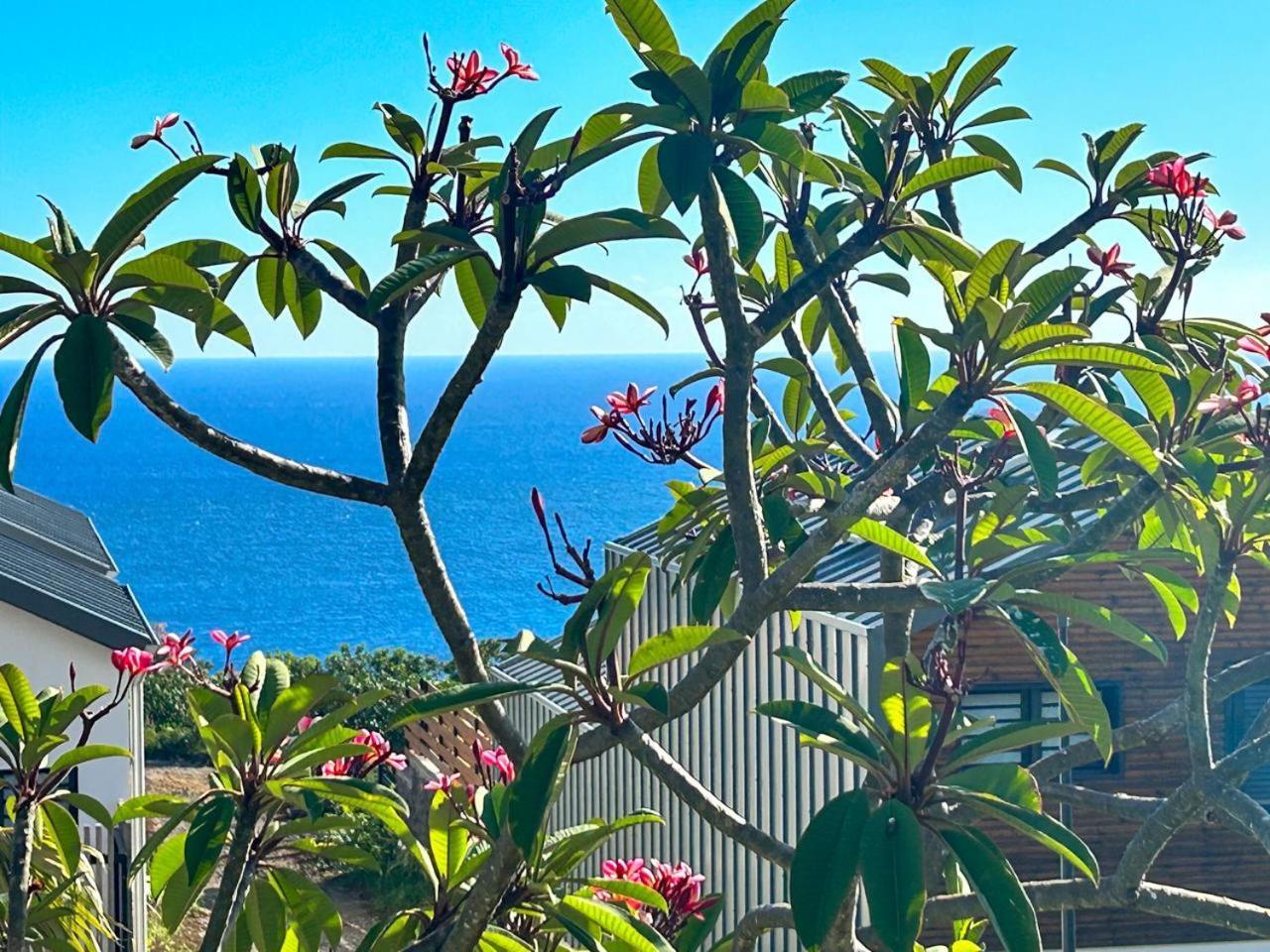 Le Reve Bleu Grand Anse Lejlighed Petite Île Eksteriør billede